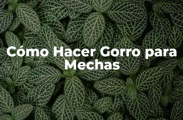 Cómo Hacer Gorro para Mechas 2 ¿Qué es un Gorro para Mechas y para qué Sirve?