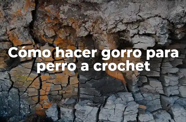 Cómo Hacer Gorro para Perro a Crochet