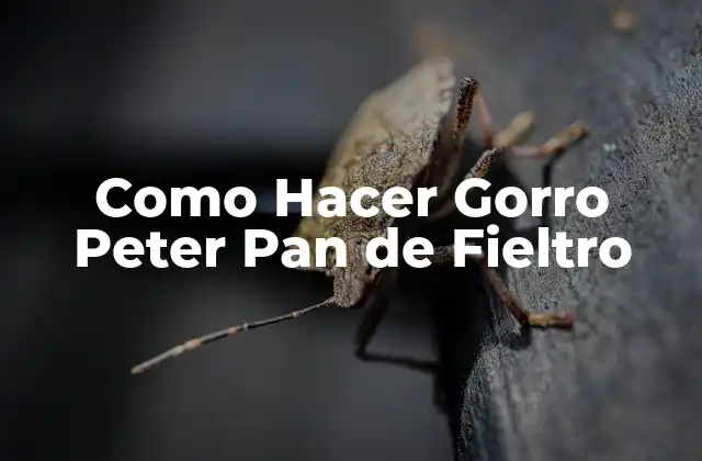 ¿Qué es un Gorro Peter Pan de Fieltro?