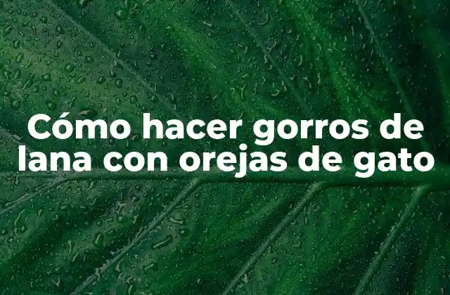 Cómo Hacer Gorros de Lana con Orejas de Gato