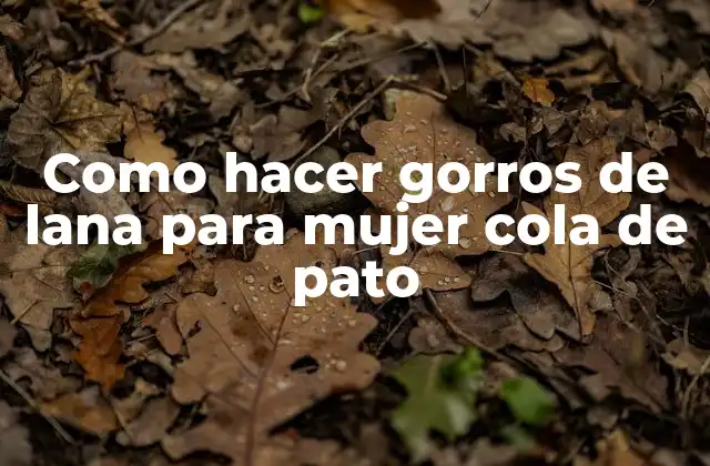 Como Hacer Gorros de Lana para Mujer Cola de Pato