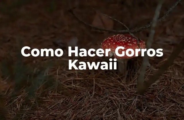 Como Hacer Gorros Kawaii