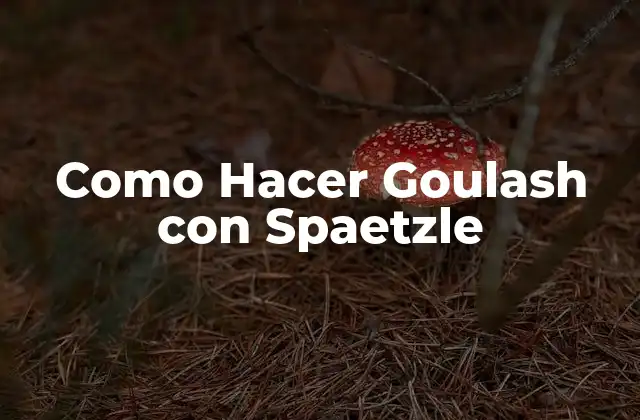Como Hacer Goulash con Spaetzle