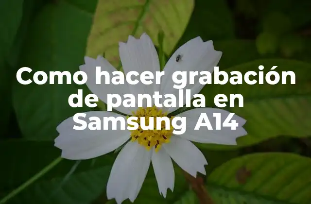 Como Hacer Grabación de Pantalla en Samsung A14