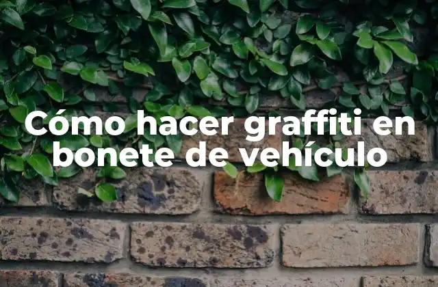 Cómo Hacer Graffiti en Bonete de Vehículo