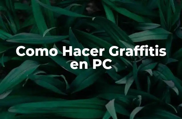 Como Hacer Graffitis en Pc