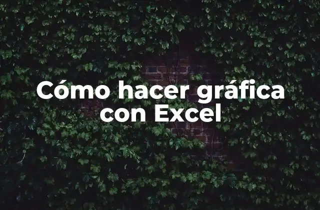 Cómo hacer gráfica con Excel