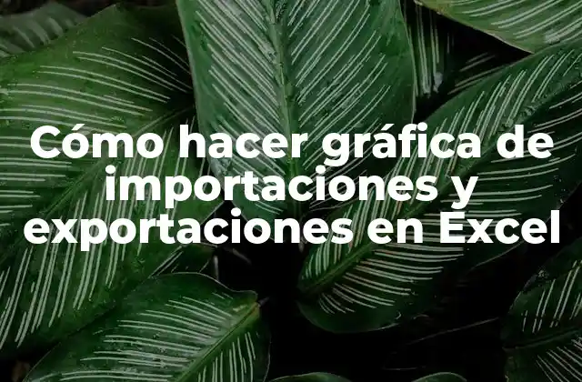 Cómo Hacer Gráfica de Importaciones y Exportaciones en Excel