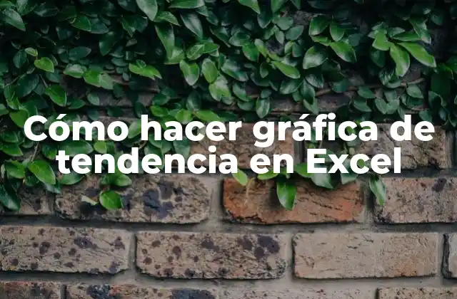 Cómo Hacer Gráfica de Tendencia en Excel