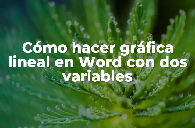 Cómo Hacer Gráfica Lineal en Word con Dos Variables