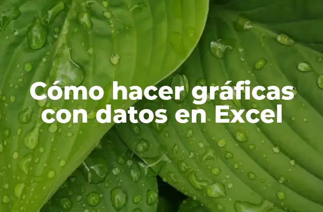 Cómo Hacer Gráficas con Datos en Excel