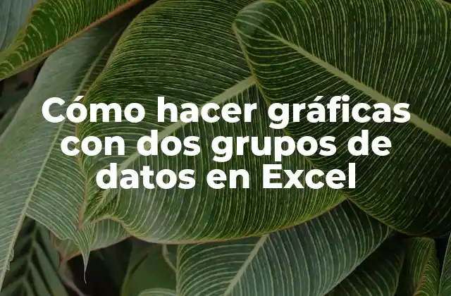 Cómo Hacer Gráficas con Dos Grupos de Datos en Excel
