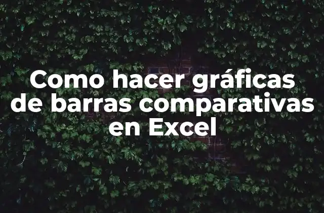 Como Hacer Gráficas de Barras Comparativas en Excel 2 Gráficas de barras comparativas en Excel