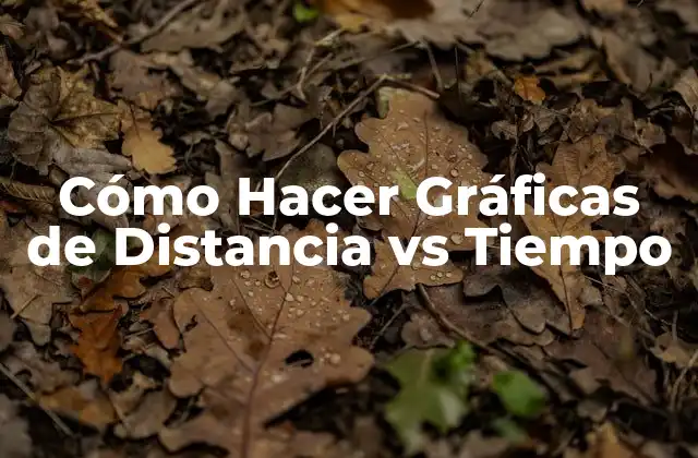 Cómo Hacer Gráficas de Distancia Vs Tiempo