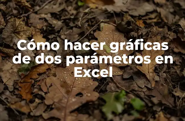 Cómo Hacer Gráficas de Dos Parámetros en Excel