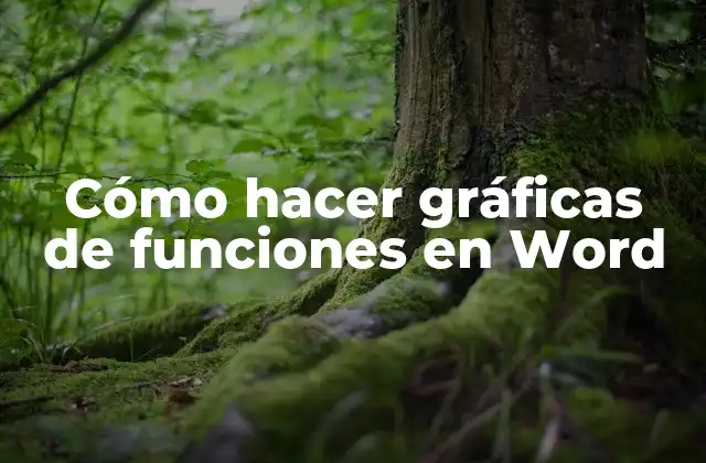 Cómo Hacer Gráficas de Funciones en Word
