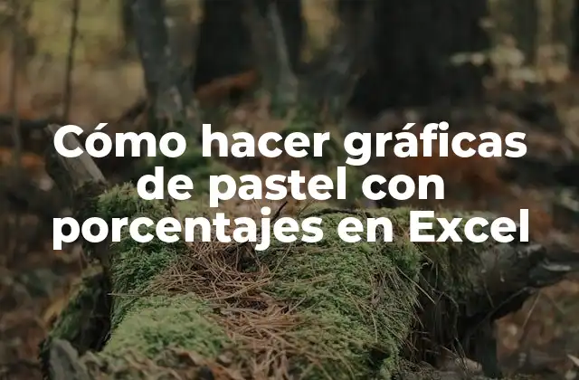 Cómo Hacer Gráficas de Pastel con Porcentajes en Excel