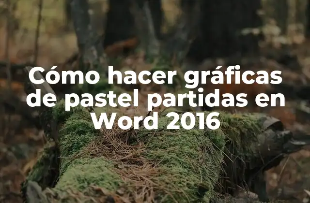 Cómo Hacer Gráficas de Pastel Partidas en Word 2016