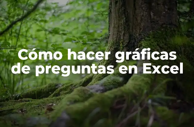Cómo Hacer Gráficas de Preguntas en Excel