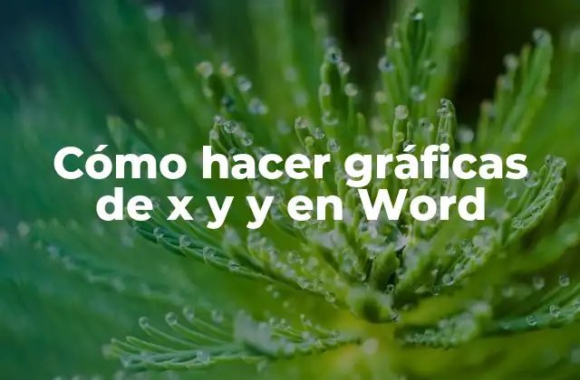 Cómo Hacer Gráficas de X y y en Word