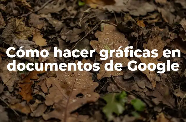 Cómo Hacer Gráficas en Documentos de Google