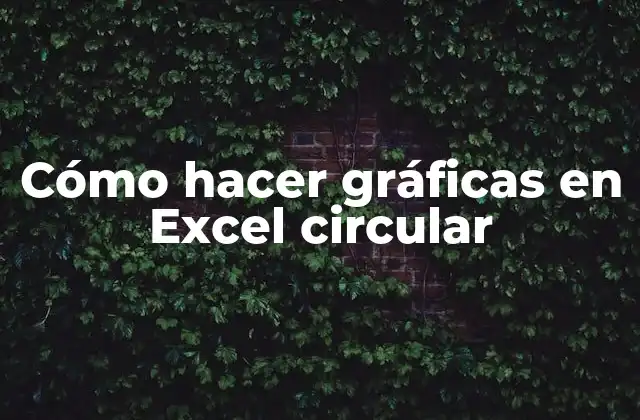 Cómo Hacer Gráficas en Excel Circular