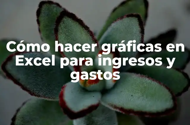 Cómo Hacer Gráficas en Excel para Ingresos y Gastos