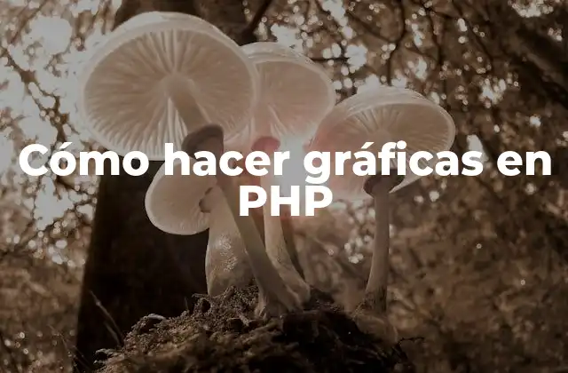 Cómo hacer gráficas en PHP