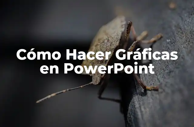 Cómo Hacer Gráficas en Powerpoint