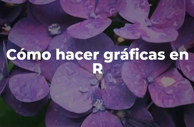 Cómo Hacer Gráficas en R