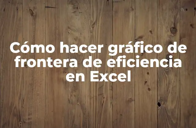 Cómo Hacer Gráfico de Frontera de Eficiencia en Excel