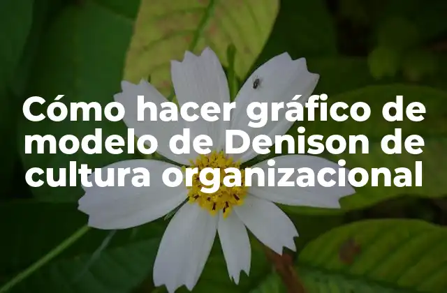Cómo Hacer Gráfico de Modelo de Denison de Cultura Organizacional
