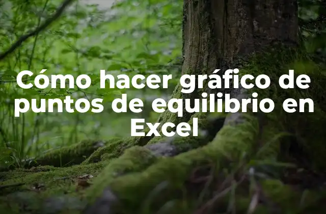 Cómo Hacer Gráfico de Puntos de Equilibrio en Excel