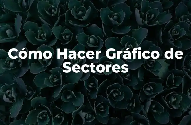 Cómo Hacer Gráfico de Sectores 2 Cómo Hacer Gráfico de Sectores