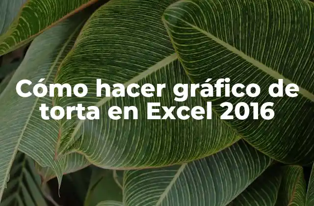 Cómo Hacer Gráfico de Torta en Excel 2016