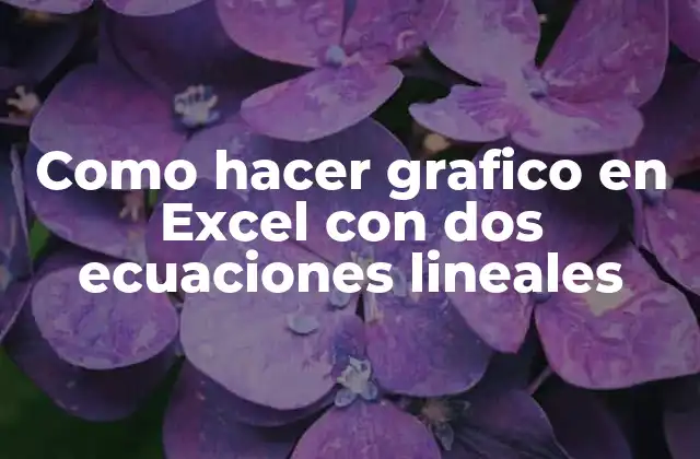 Como Hacer Grafico en Excel con Dos Ecuaciones Lineales
