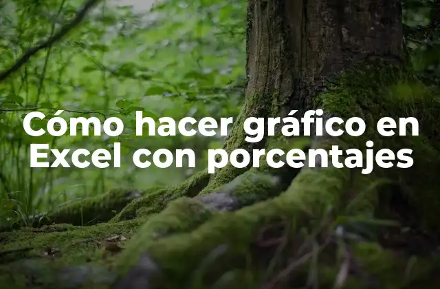 Cómo hacer gráfico en Excel con porcentajes