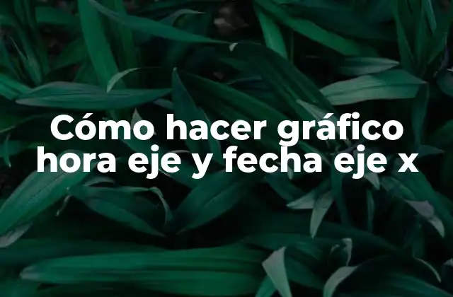 Cómo Hacer Gráfico Hora Eje y Fecha Eje X