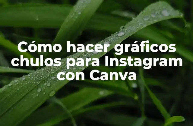 Cómo Hacer Gráficos Chulos para Instagram con Canva 2 Cómo hacer gráficos chulos para Instagram con Canva