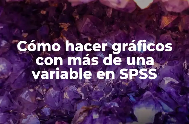 Gráficos con múltiples variables en SPSS: ¿Qué son y para qué sirven?