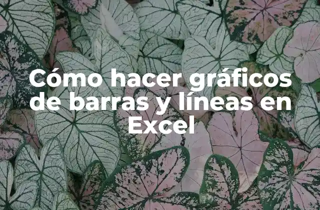 Cómo Hacer Gráficos de Barras y Líneas en Excel
