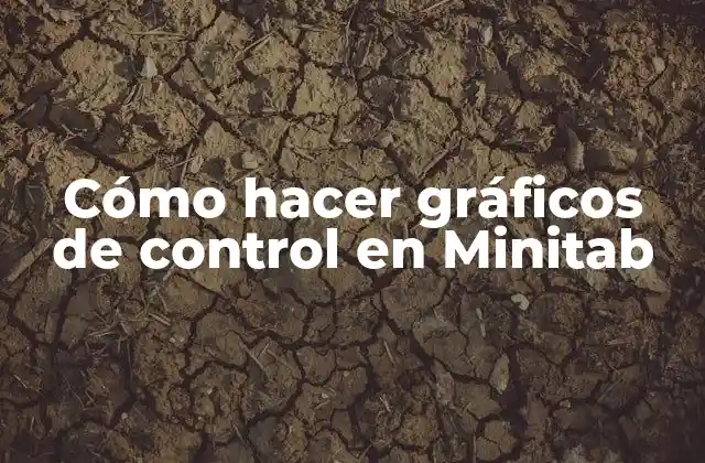 Cómo Hacer Gráficos de Control en Minitab