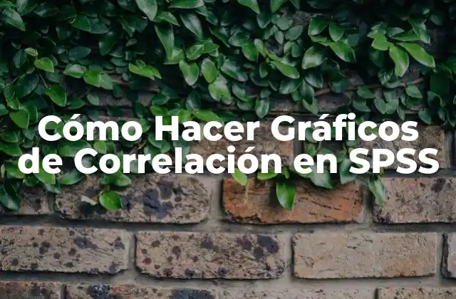 Cómo Hacer Gráficos de Correlación en Spss