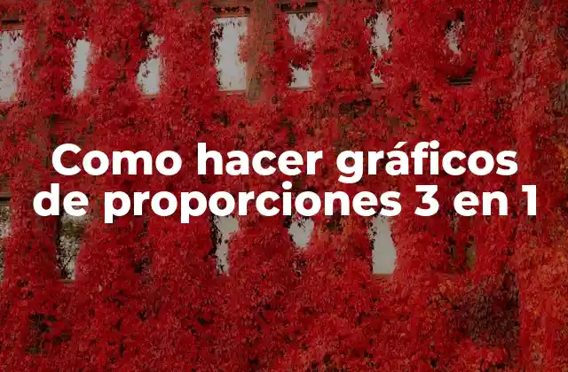 Como Hacer Gráficos de Proporciones 3 en 1