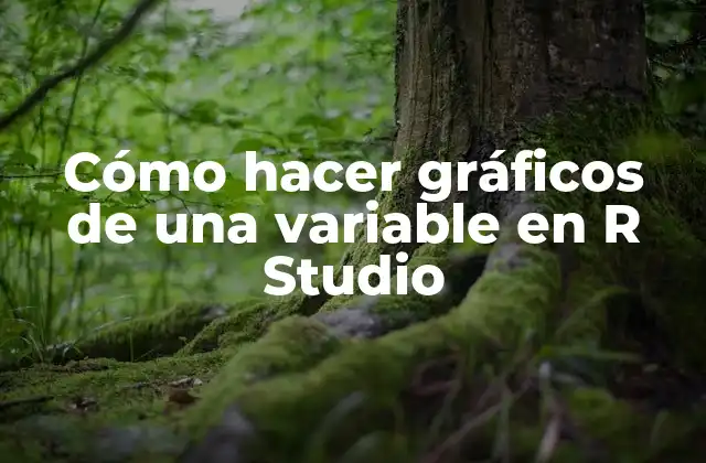 Cómo Hacer Gráficos de una Variable en R Studio