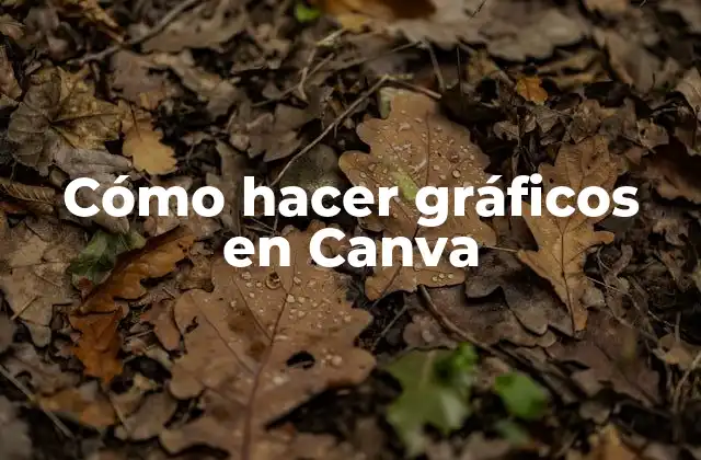 Cómo Hacer Gráficos en Canva 2 Cómo hacer gráficos en Canva