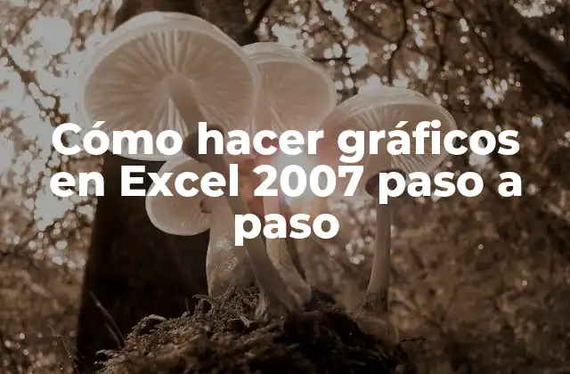 Cómo Hacer Gráficos en Excel 2007 Paso a Paso 2 Cómo hacer gráficos en Excel 2007