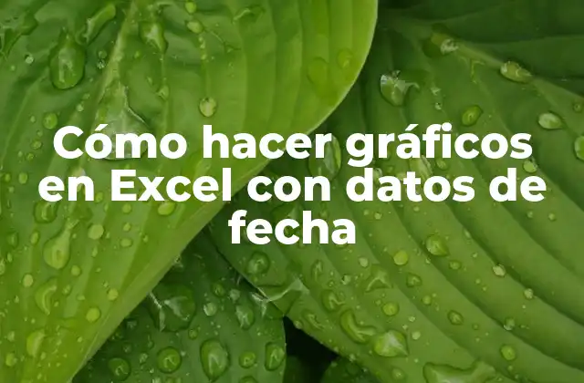 Cómo Hacer Gráficos en Excel con Datos de Fecha
