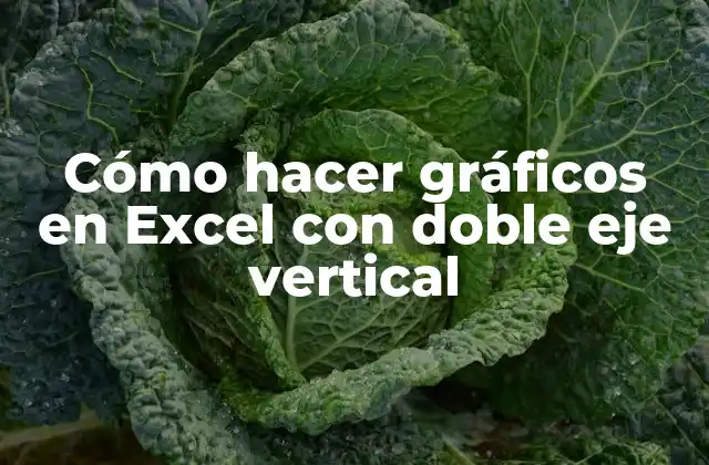 Cómo Hacer Gráficos en Excel con Doble Eje Vertical