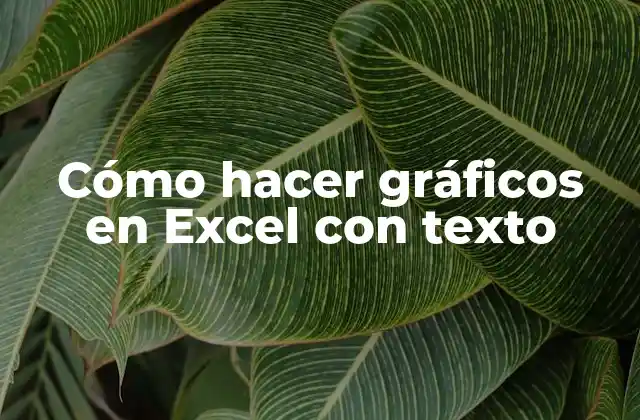 Cómo Hacer Gráficos en Excel con Texto